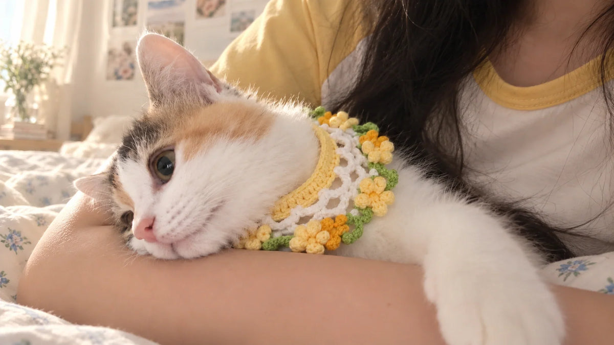 It Started With a Little Scarf: Welcome to Knit for Paws